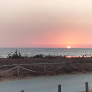 https://flamenco-playa.es-andalucia.com